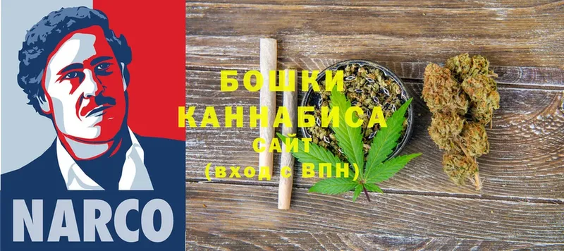 закладки  Медынь  Каннабис SATIVA & INDICA 